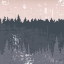Picture of EVENING FOREST II