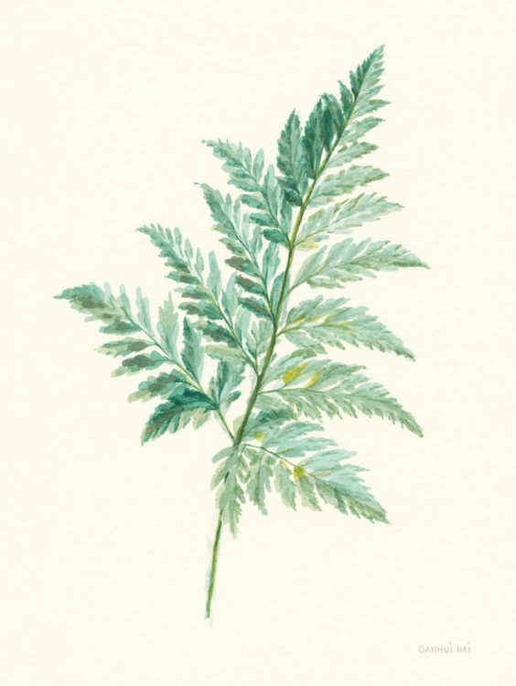 Picture of LEAF STUDY I