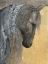 Picture of PENSIVE