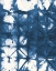 Picture of KANARI IV CROP NAVY