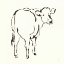 Picture of LINE COW