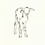 Picture of LINE LAMB