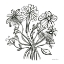 Picture of WILD FLOWERS LINE II