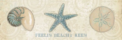 Picture of BEACH TREASURES VII