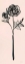 Picture of FLORAL LINE I ON PINK