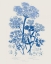 Picture of FLOWERING PLANTS VI MID BLUE