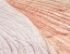 Picture of COYOTE BUTTES VI BLUSH ORANGE CROP
