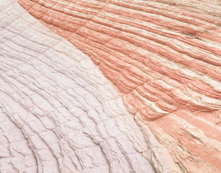 Picture of COYOTE BUTTES VI BLUSH ORANGE CROP