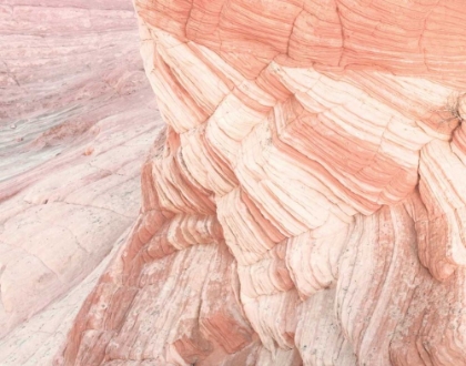 Picture of COYOTE BUTTES VII BLUSH ORANGE CROP