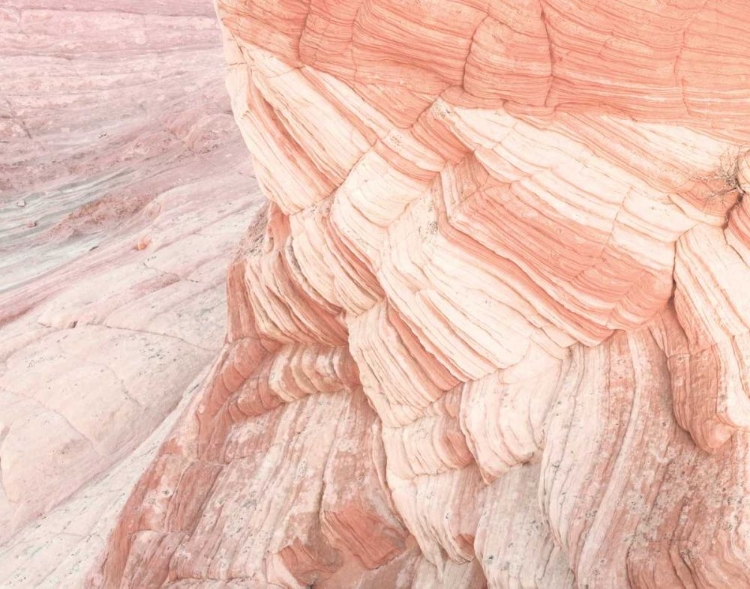 Picture of COYOTE BUTTES VII BLUSH ORANGE CROP