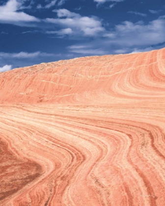 Picture of COYOTE BUTTES V BLUSH ORANGE CROP