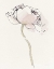 Picture of SINGLE SOMNIFERUMS I NEUTRAL CROP