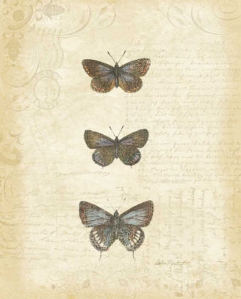 Picture of BOTANICAL BUTTERFLIES II