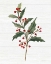 Picture of CHRISTMAS MOMENTS IV NO BANNER WHITE