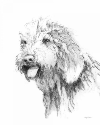 Picture of GOLDENDOODLE SKETCH