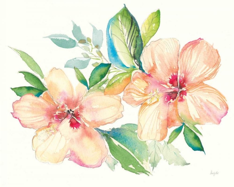 Picture of PASTEL GARDEN HIBISCUS