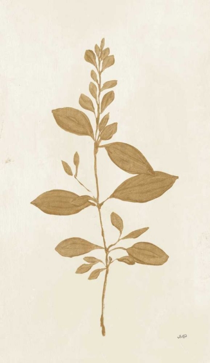 Picture of BOTANICAL STUDY VIII GOLD