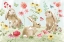 Picture of SWEET BUNNIES I