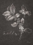 Picture of BLACK AND WHITE CHALKBOARD CHRISTMAS II