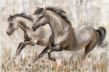 Picture of RUNNING HORSES