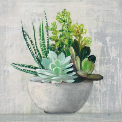 Picture of SUCCULENT STILL LIFE II