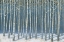Picture of SHIMMERING BIRCHES