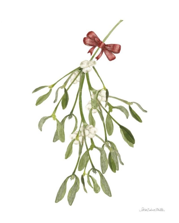 Picture of PEACE AND JOY MISTLETOE