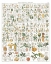 Picture of FLORA CHART I WHITE
