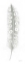 Picture of FEATHER SKETCHES VII GREEN GRAY