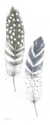 Picture of FEATHER SKETCHES VIII BLUE GRAY