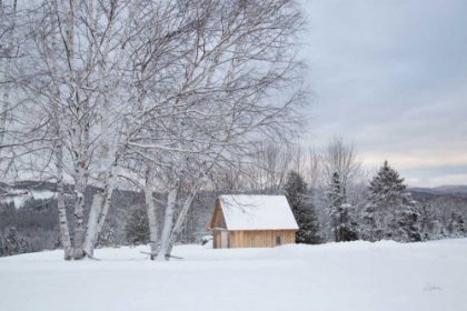 Picture of BARN WITH A VIEW