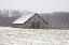 Picture of FIRST SNOW