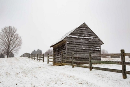 Picture of COMING TO THE BARN