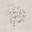 Picture of SOFT SUMMER SKETCHES II SQ