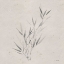 Picture of SOFT SUMMER SKETCHES III SQ