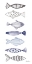 Picture of A SCHOOL OF FISH II
