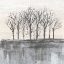 Picture of TREES AT DAWN II NEUTRAL