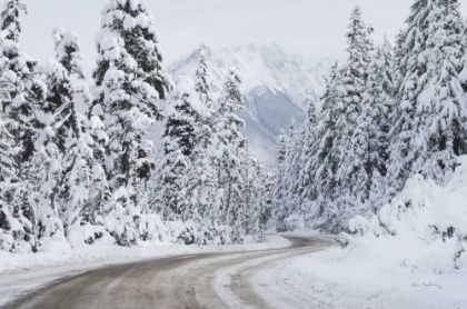 Picture of MOUNT BAKER HIGHWAY I