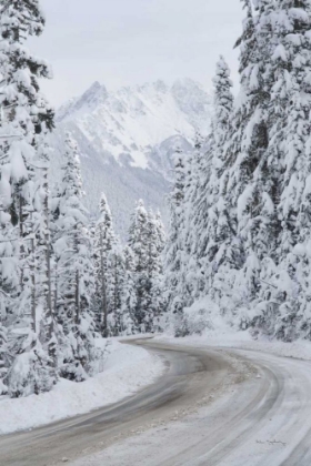 Picture of MOUNT BAKER HIGHWAY II