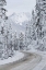 Picture of MOUNT BAKER HIGHWAY II