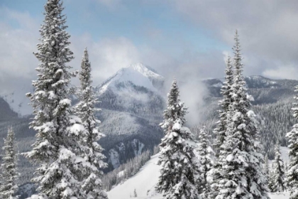 Picture of NORTH CASCADES IN WINTER I