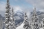 Picture of NORTH CASCADES IN WINTER I