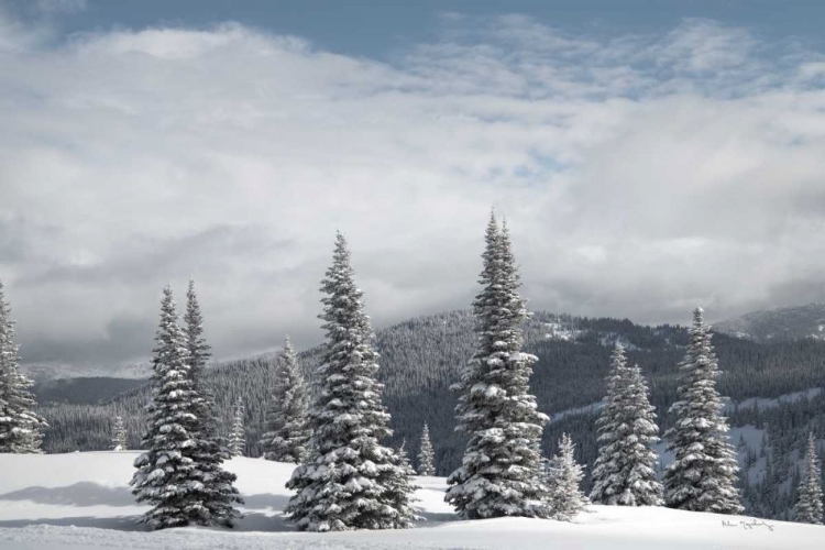 Picture of NORTH CASCADES IN WINTER II