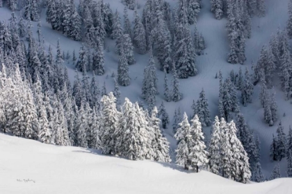 Picture of NORTH CASCADES IN WINTER III