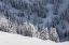 Picture of NORTH CASCADES IN WINTER III