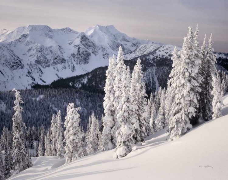 Picture of CARIBOO MOUNTAINS