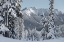 Picture of NOOKSACK RIDGE IN WINTER