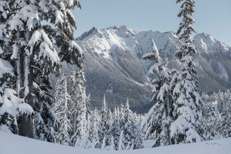 Picture of NOOKSACK RIDGE IN WINTER