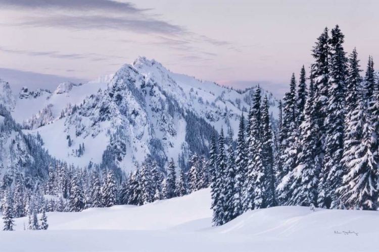 Picture of TATOOSH RANGE