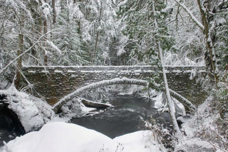 Picture of WHATCOM CREEK BRIDGE